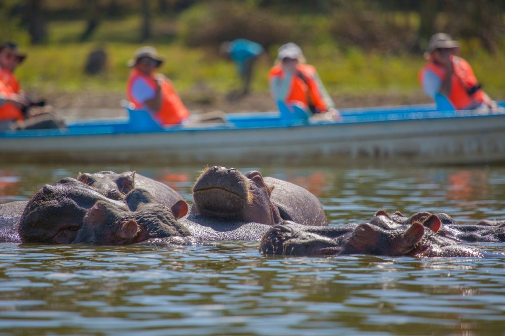 Hippopotamus-Lake-Naivasha-1024x683-1.jpg