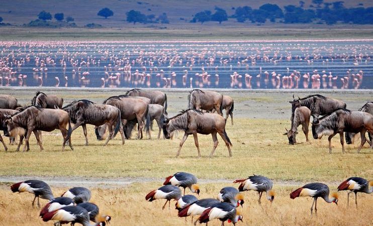 Lake-Manyara-National-Park.jpg