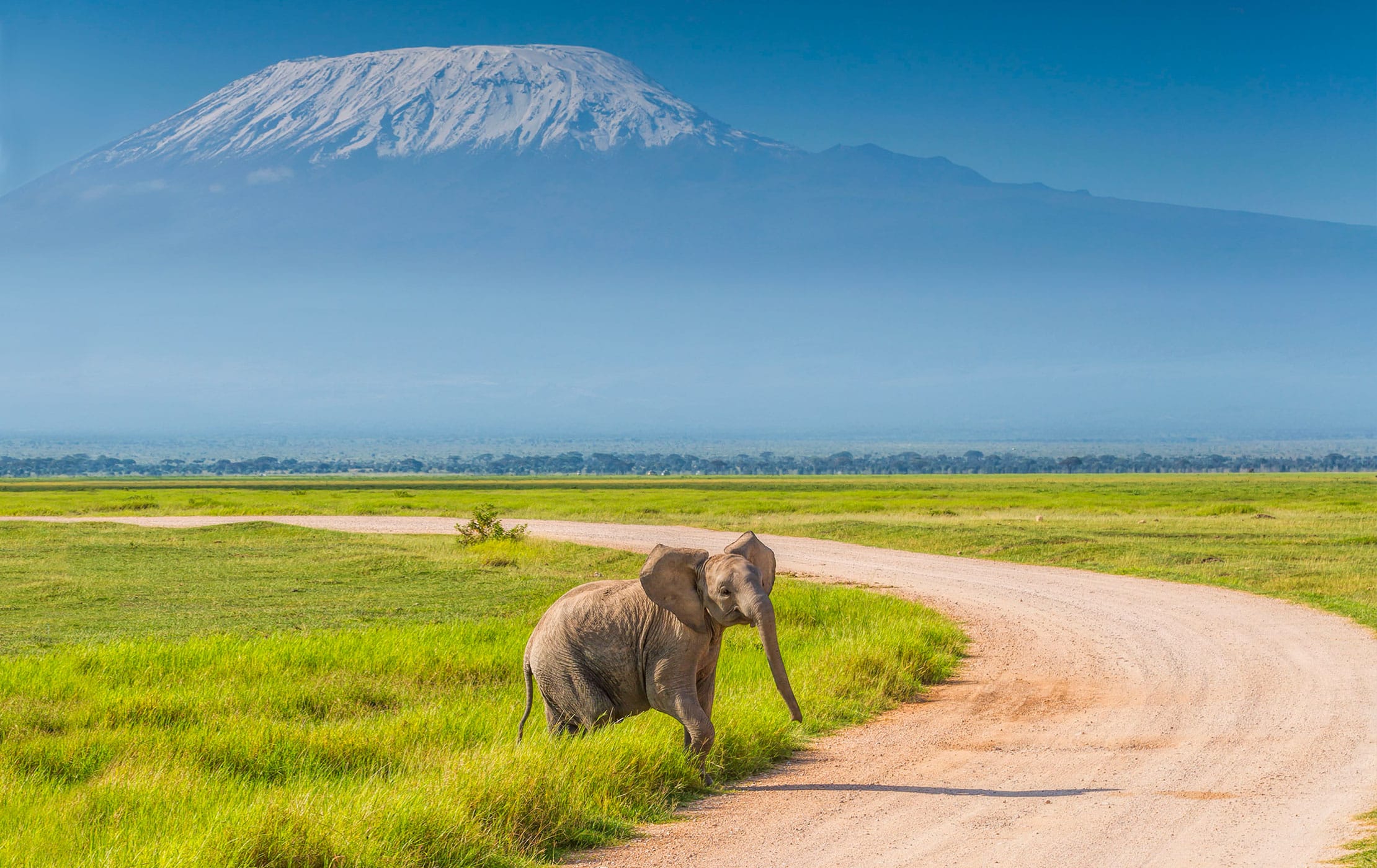 amboseli-national-park.jpg