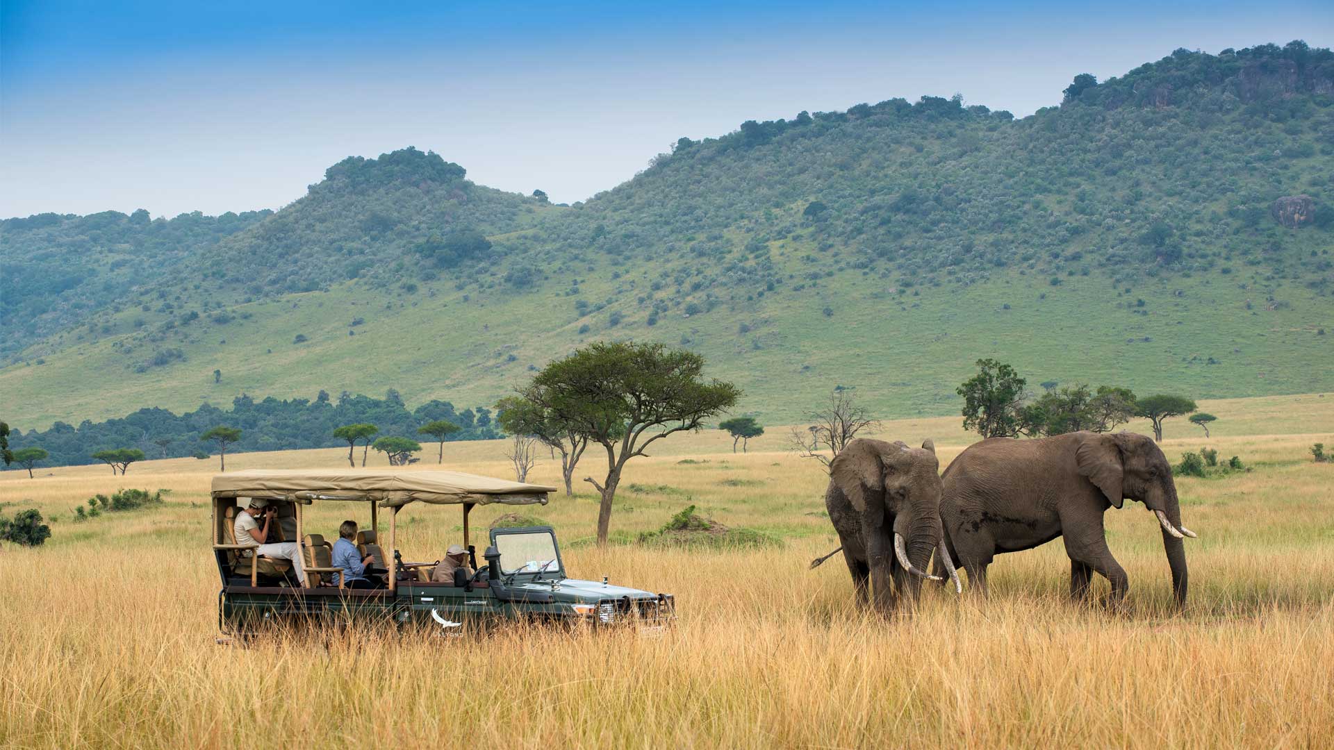 seeing-elephants-on-a-game-drive-in-the-masai-mara.jpg